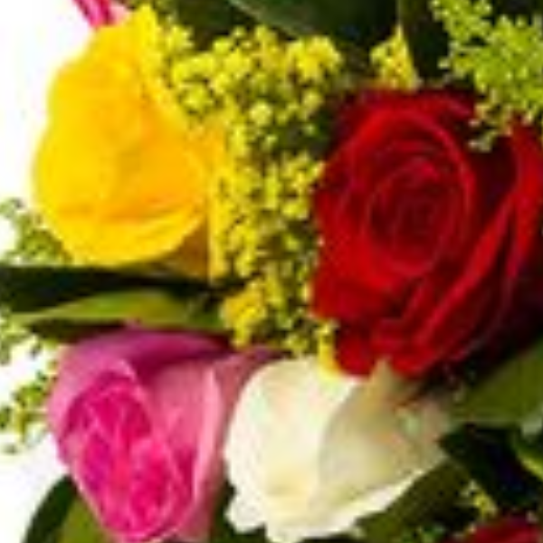 Buqu� 12 rosas coloridas Alegria 