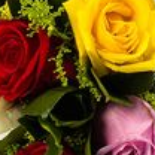 Buqu� 12 rosas coloridas Alegria 