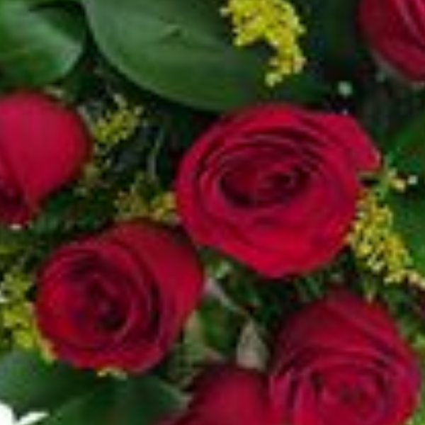 Buqu� 12 rosas vermelhas e chocolate Iluminado