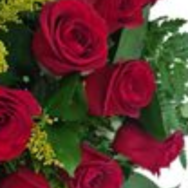 Buqu� 12 rosas vermelhas e chocolate Iluminado