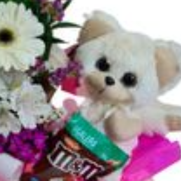 Caixa Urso para Voc�
