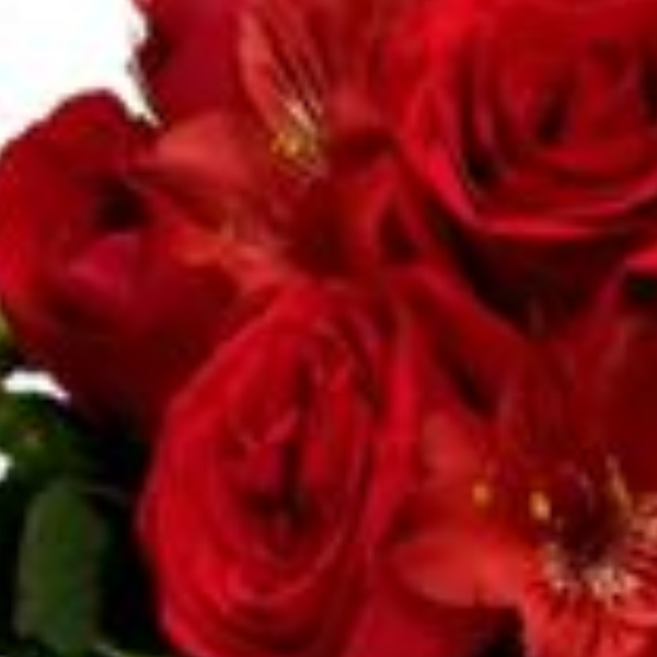 Arranjo Vermelho Paix�o