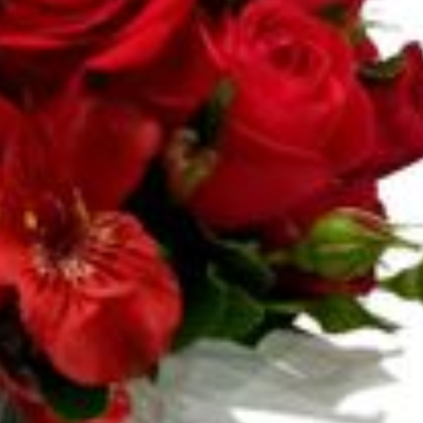 Arranjo Vermelho Paix�o