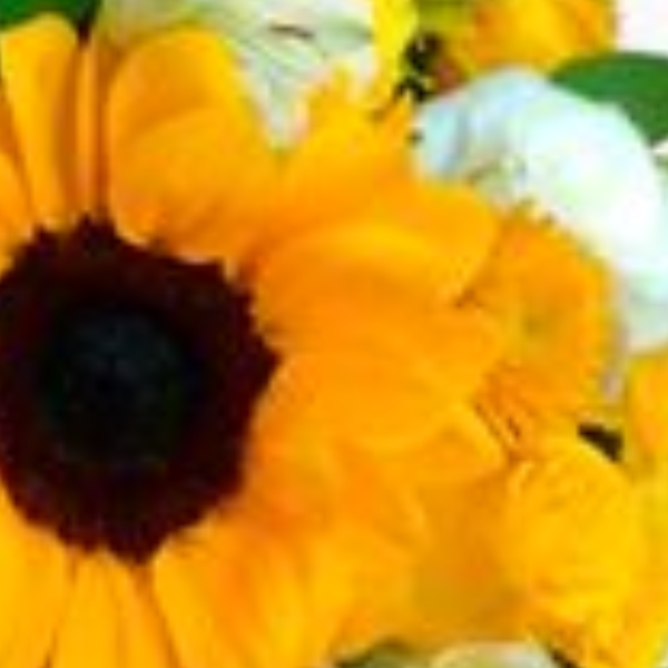 Arranjo amarelo Lindacir