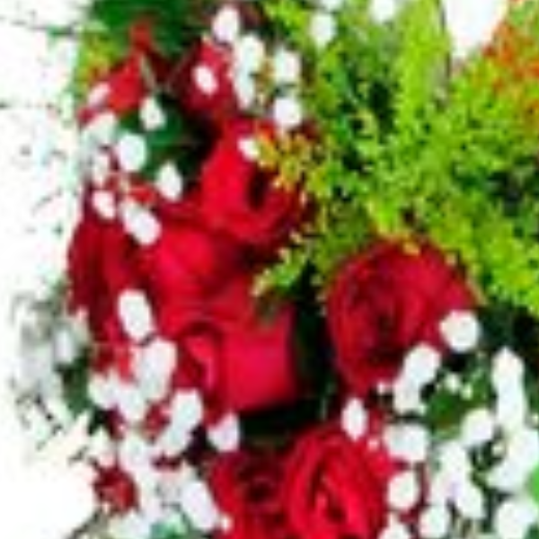 Buqu� com 15 rosas e pel�cia Alessandra