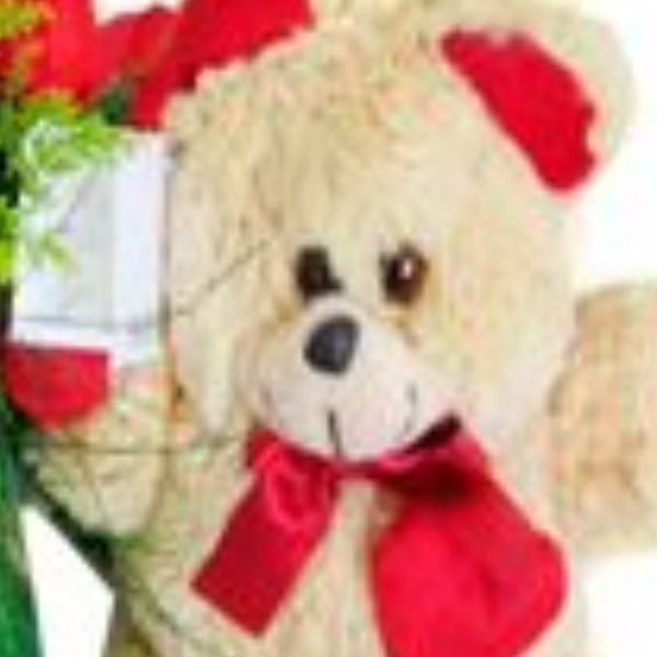 Buqu� com 15 rosas e pel�cia Alessandra