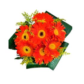 Buqu� com g�rberas e tango