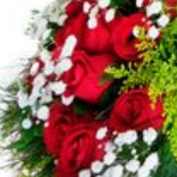 Buqu� 15 rosas Alessandra