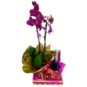Orqu�dea espumante e chocolates