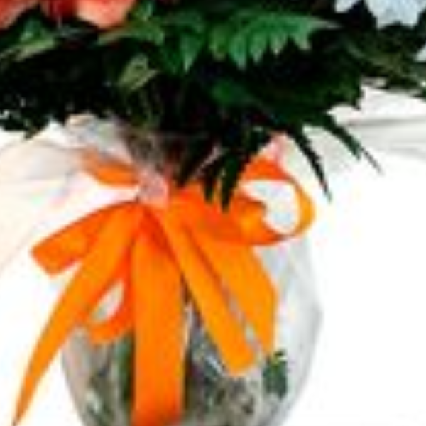 Buqu� de flores do campo no vaso com chocolate