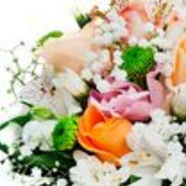 Arranjo Gratid�o