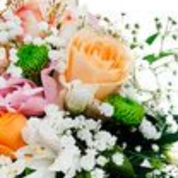Arranjo Gratid�o