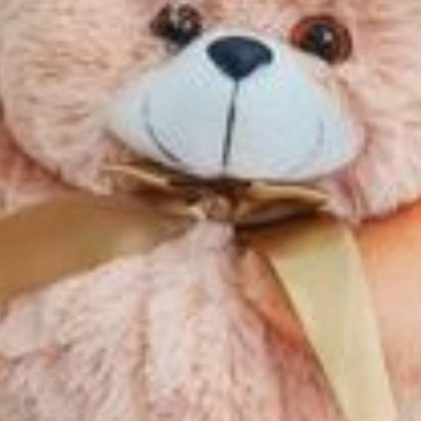 Urso de pel�cia