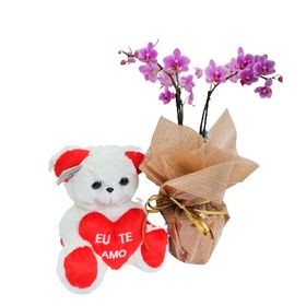 Mini orqu�dea  com urso