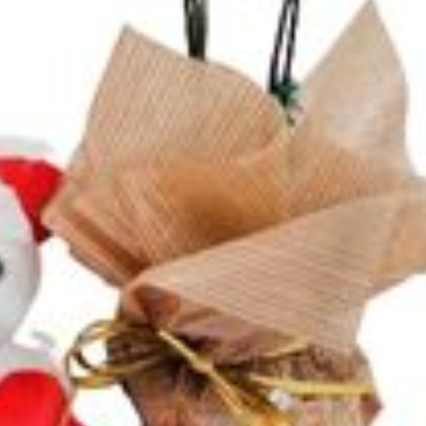 Mini orqu�dea  com urso