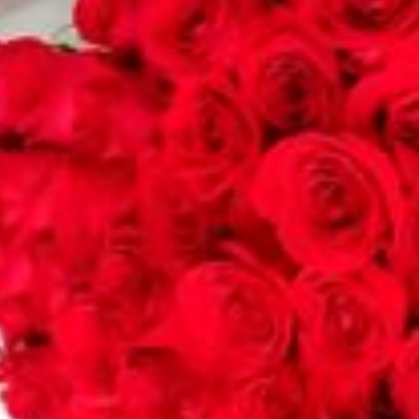 Buqu� Minha Paix�o 101 Rosas