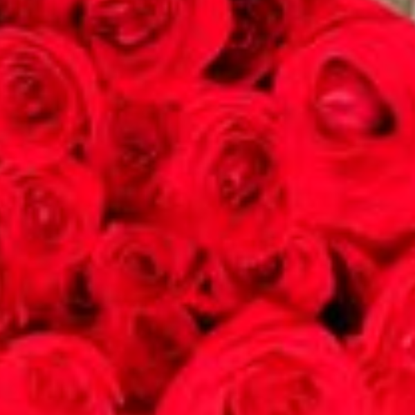Buqu� Minha Paix�o 101 Rosas