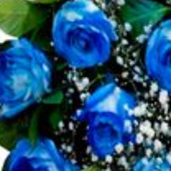 Buqu� Especial com 12 rosas 