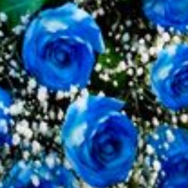 Buqu� Especial com 12 rosas 