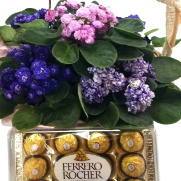 Cesta de violetas com chocolate
