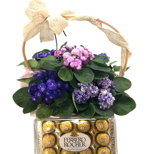 Cesta de violetas com chocolate