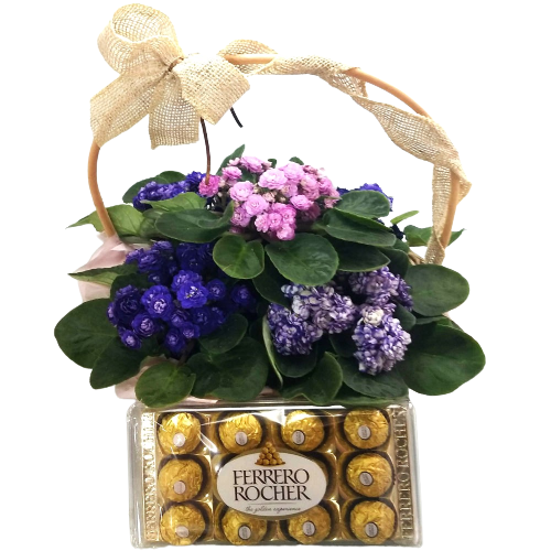 Cesta de violetas com chocolate