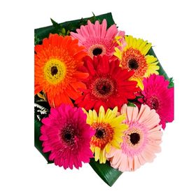 Buqu� colorido de g�rberas