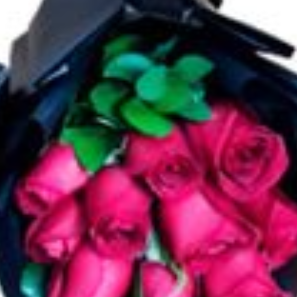 A Delicadeza do Amor