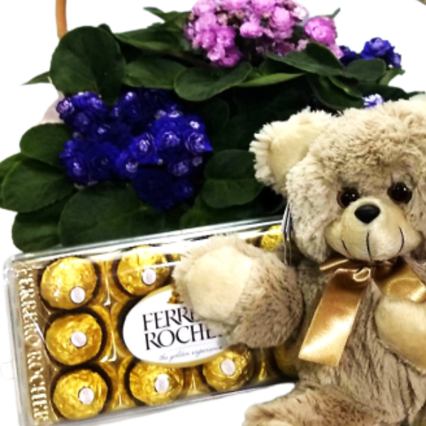 Cesta de violetas com chocolate e pel�cia