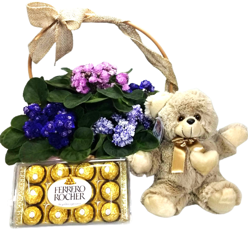 Cesta de violetas com chocolate e pel�cia