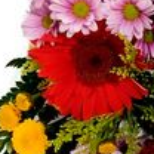 Buqu� de flores do campo