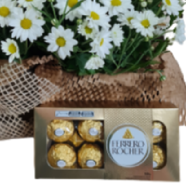Margaridas Brancas com Chocolate