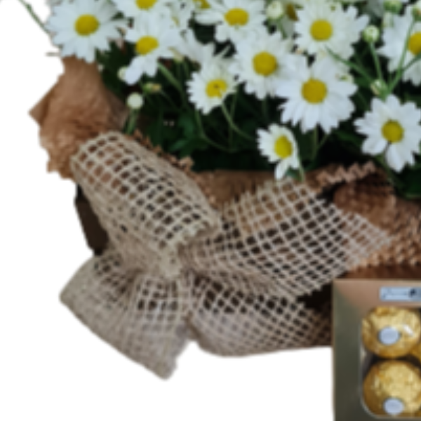 Margaridas Brancas com Chocolate