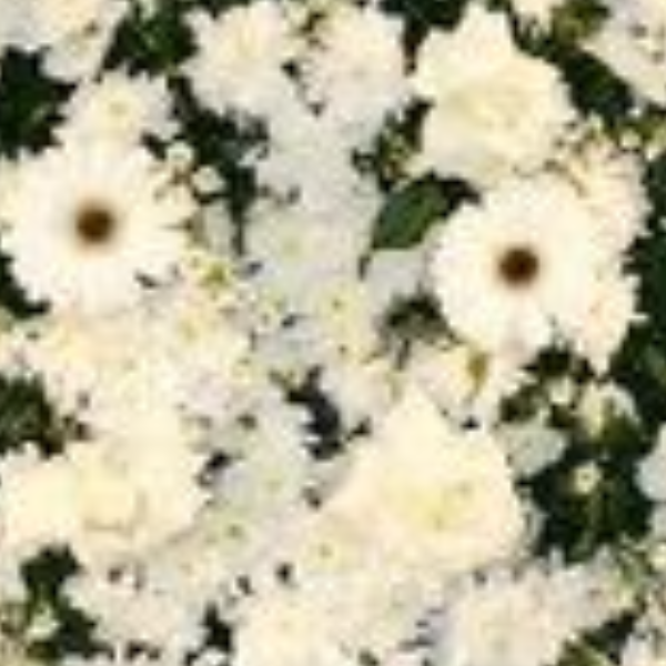 Coroa de flores Brancas P