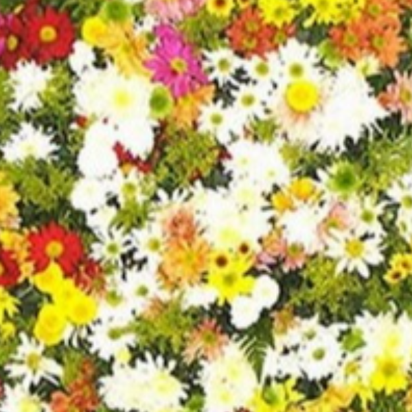 Coroa de flores naturais com flores coloridas  P