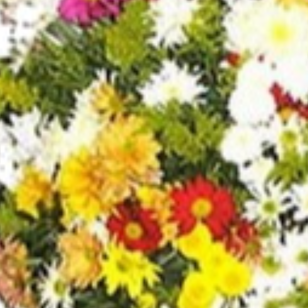 Coroa de flores naturais com flores coloridas  P