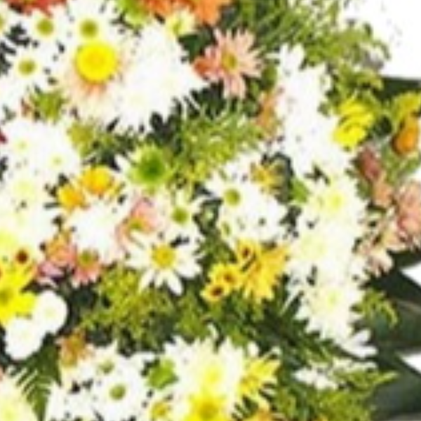 Coroa de flores naturais com flores coloridas  P
