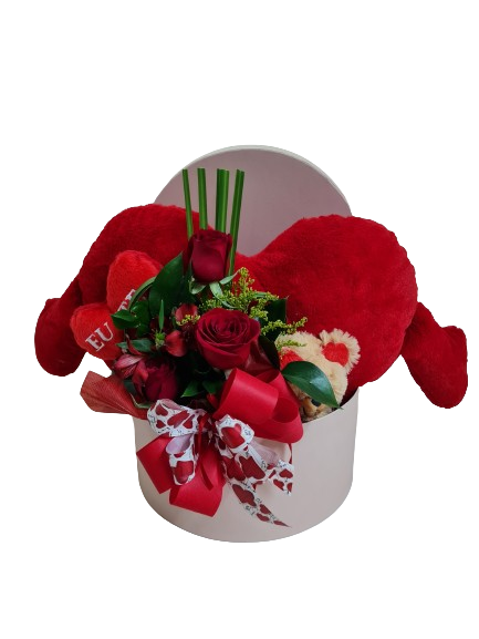 Box grande 