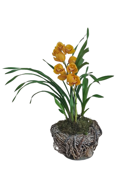 Orqu�dea Cymbidium amarelo