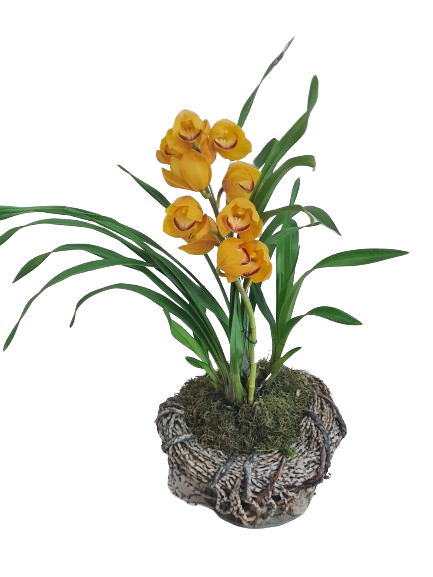 Orqu�dea Cymbidium amarelo