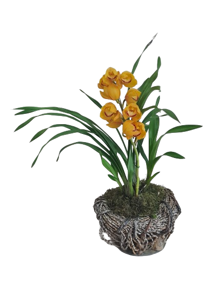 Orqu�dea Cymbidium amarelo