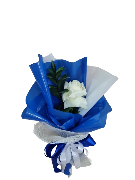 Elegante unit�ria branca