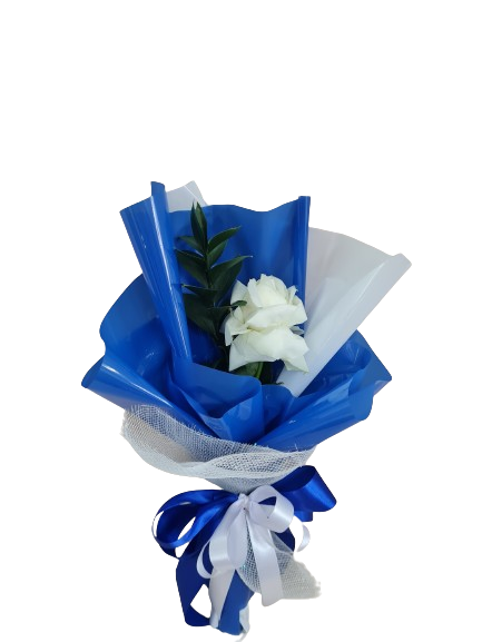 Elegante unit�ria branca