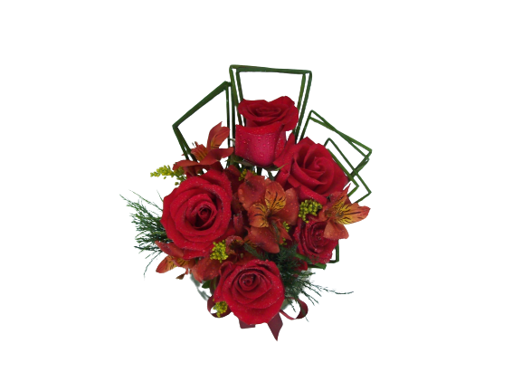 Combinado Vermelho 
