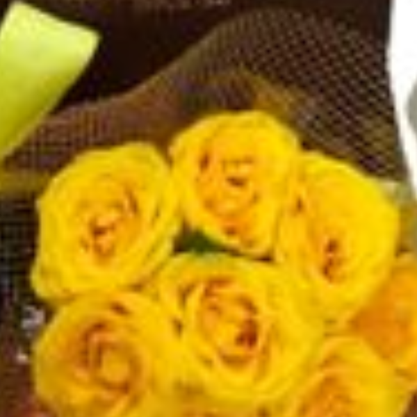 Um Presente Amor 1