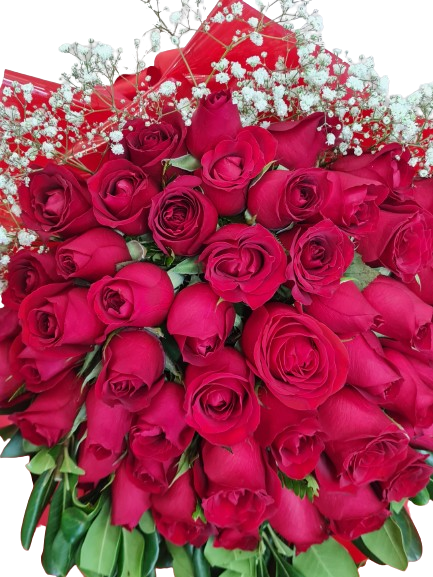 Buqu� com 48 rosas Hiorrana
