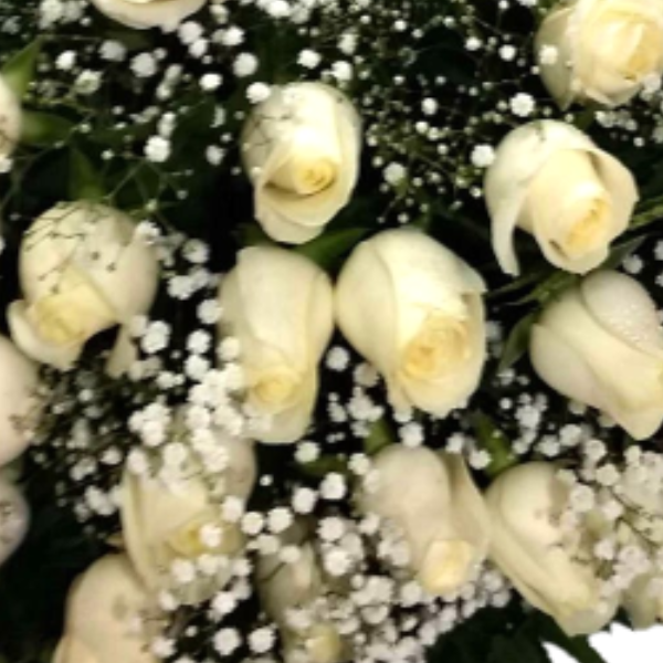 Buqu� de 20 rosas brancas 