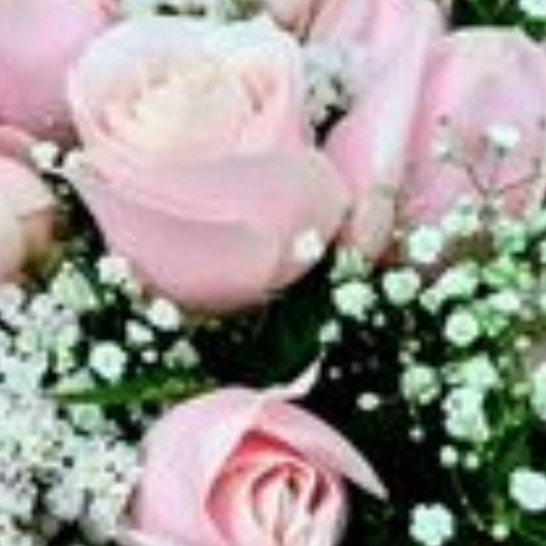 Buqu� de Rosas Rosadas Carinho