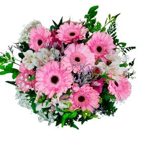 Buqu� de g�rberas e alstroem�rias Minha Paix�o