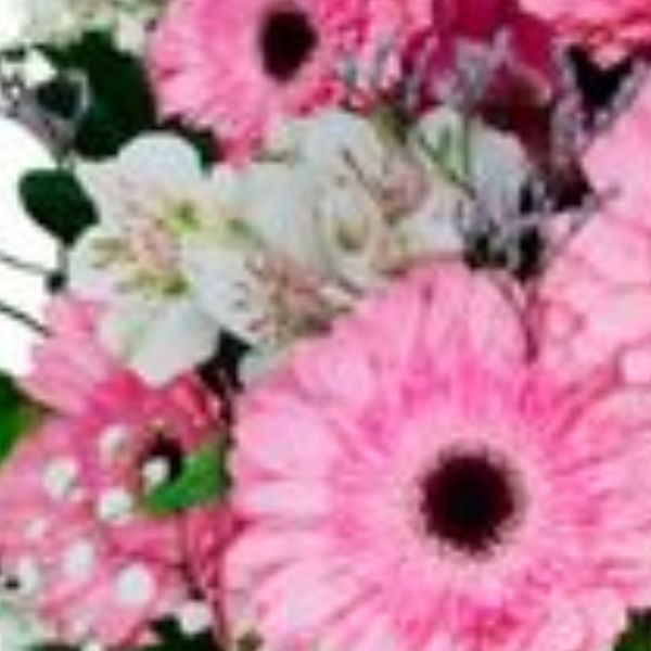 Buqu� de g�rberas e alstroem�rias Minha Paix�o